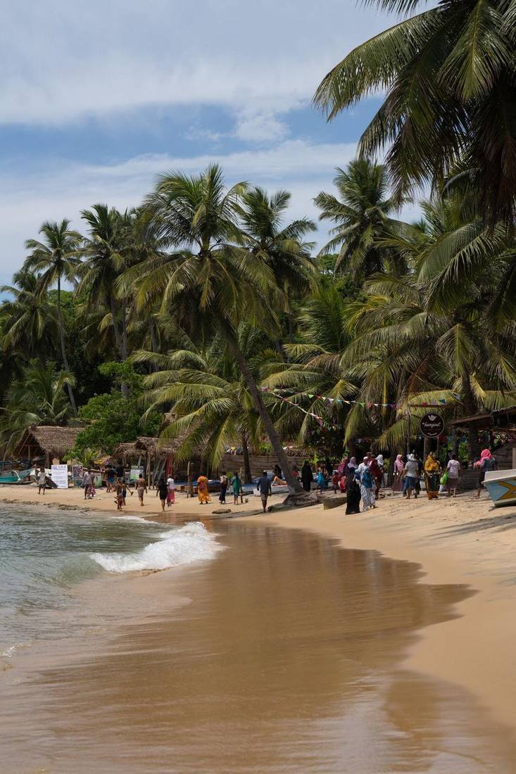 Beach with palms