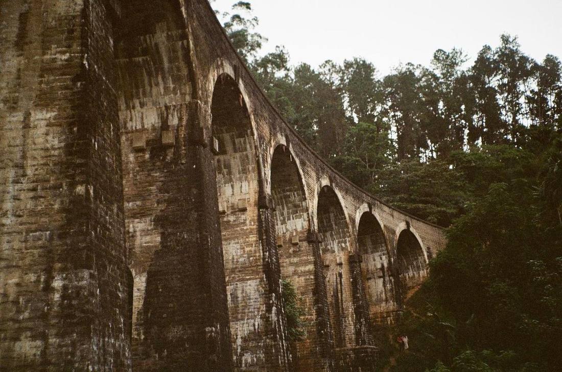 Nine Arches Bridge in the jungle
