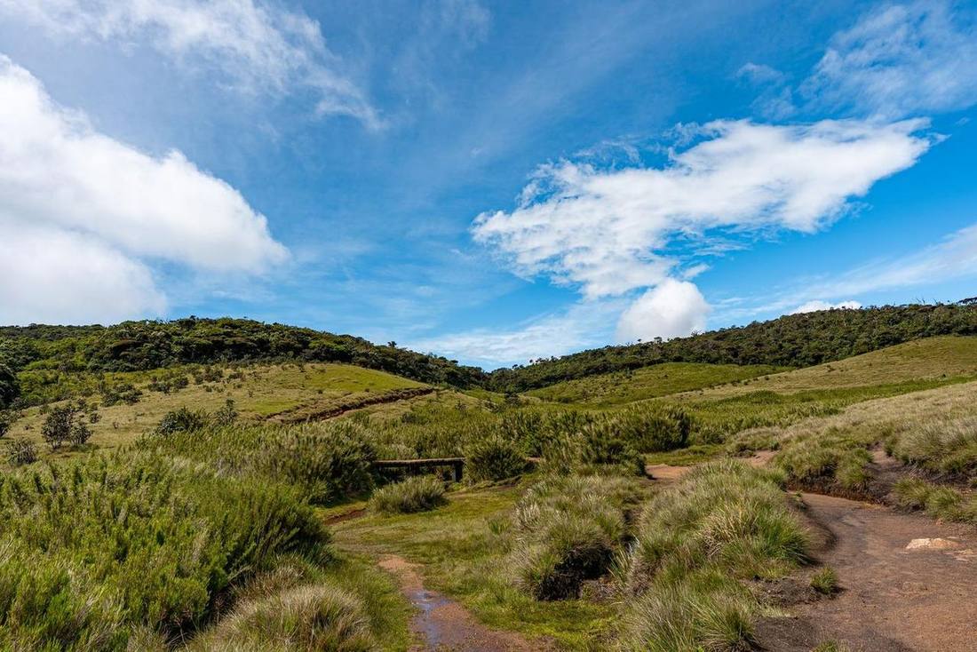 Horton Plains landscape
