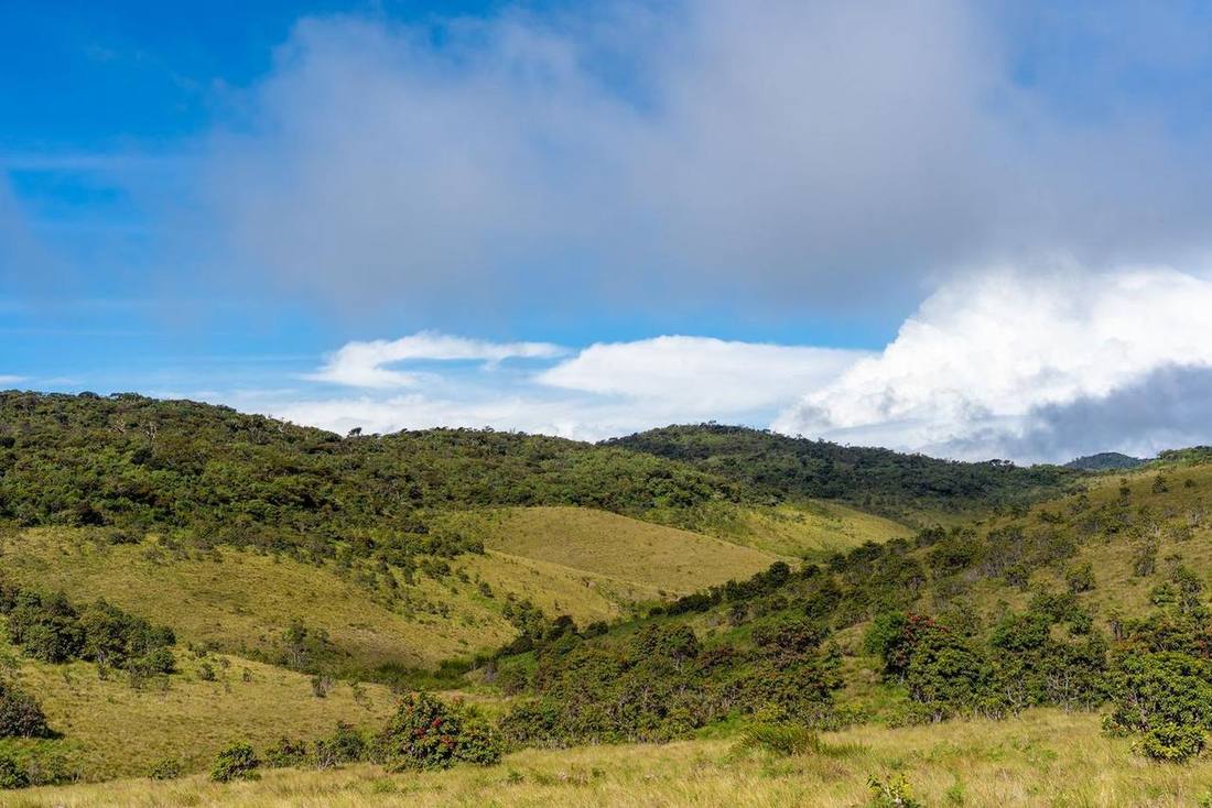 Horton Plains National Park
