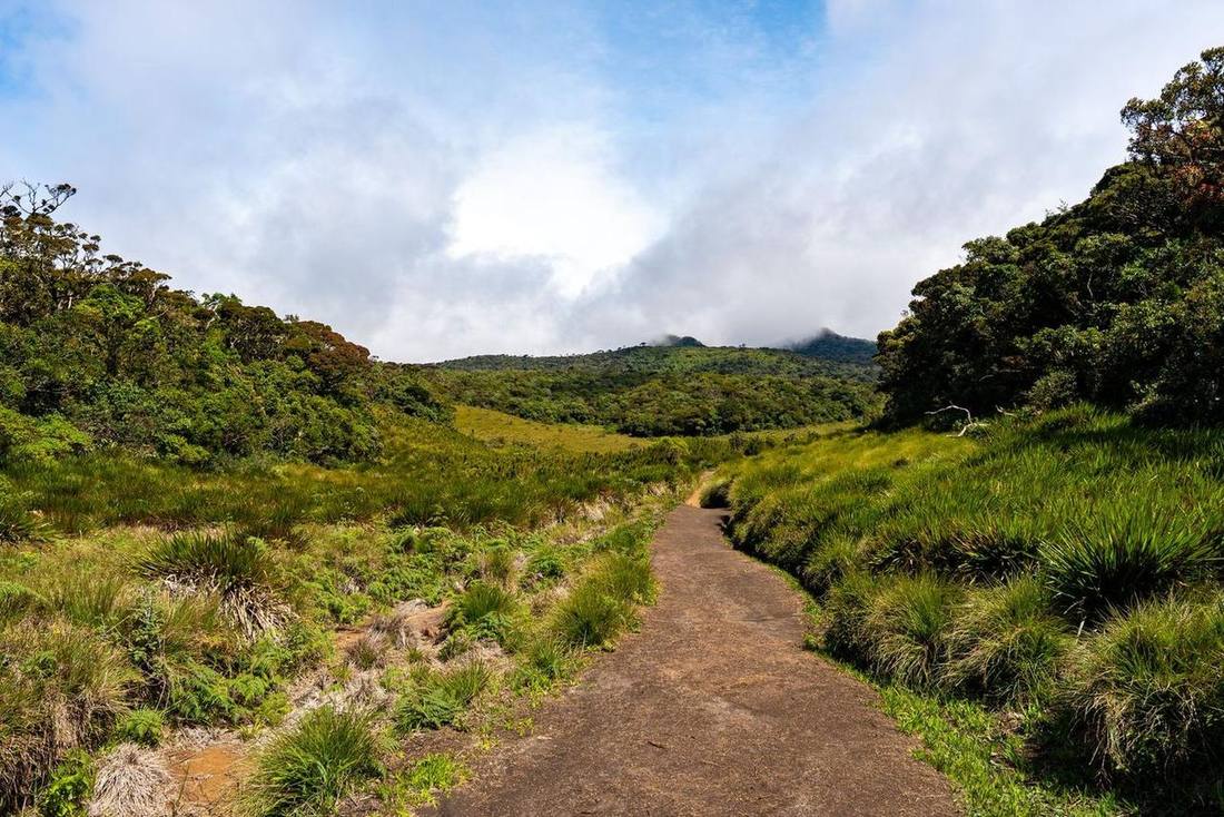 Trail on Horton Plains