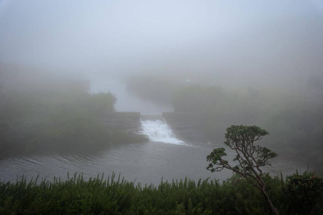 Misty river on Horton Plains