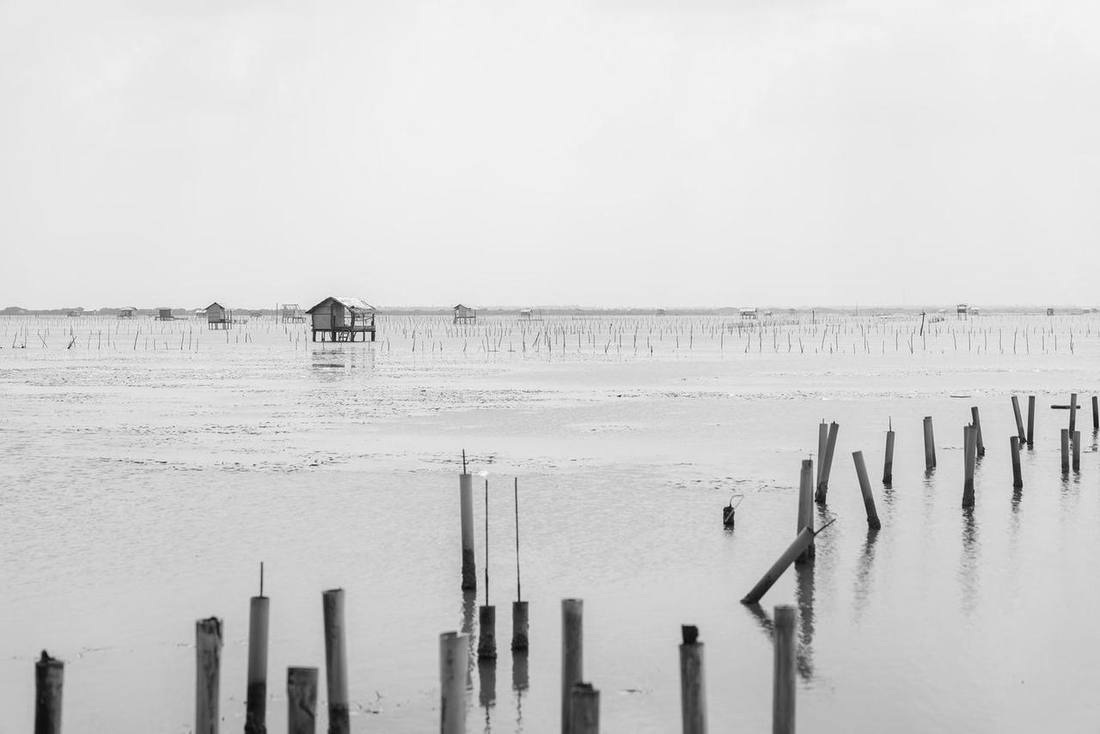 Seascape in Jaffna