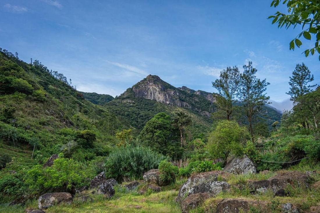Mountain landscape