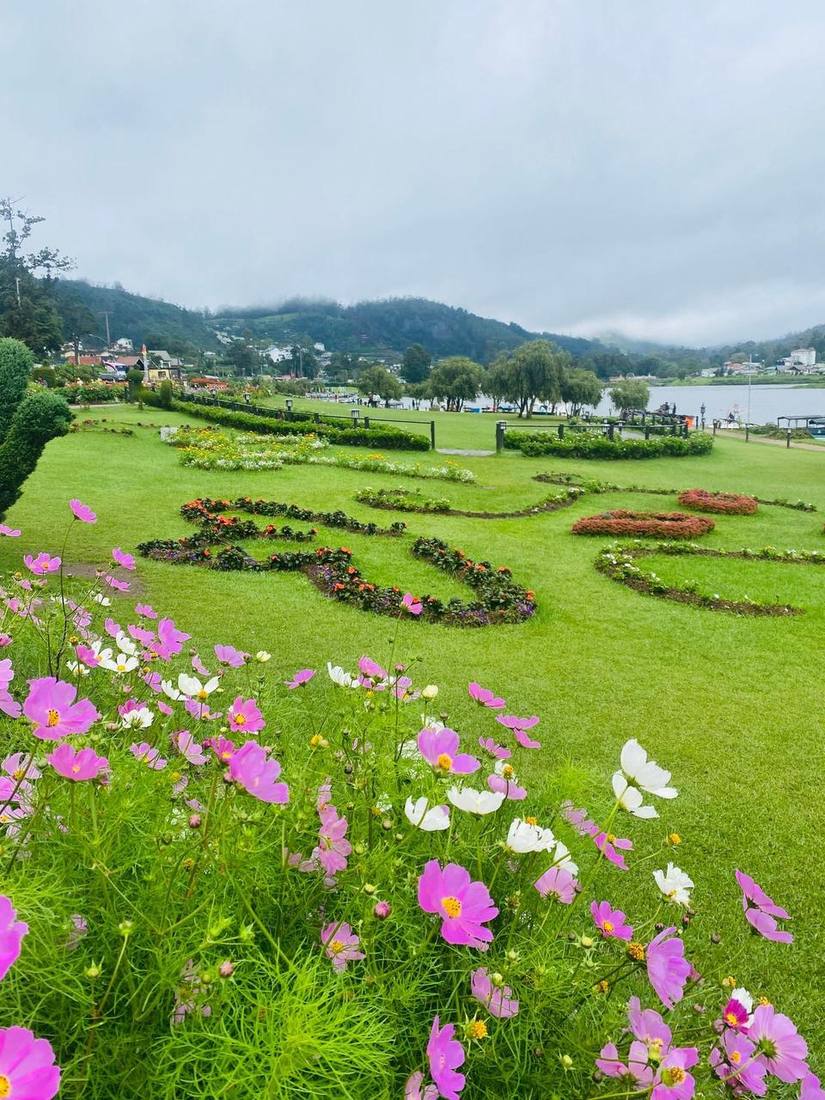 Flower garden in Nuwara Eliya