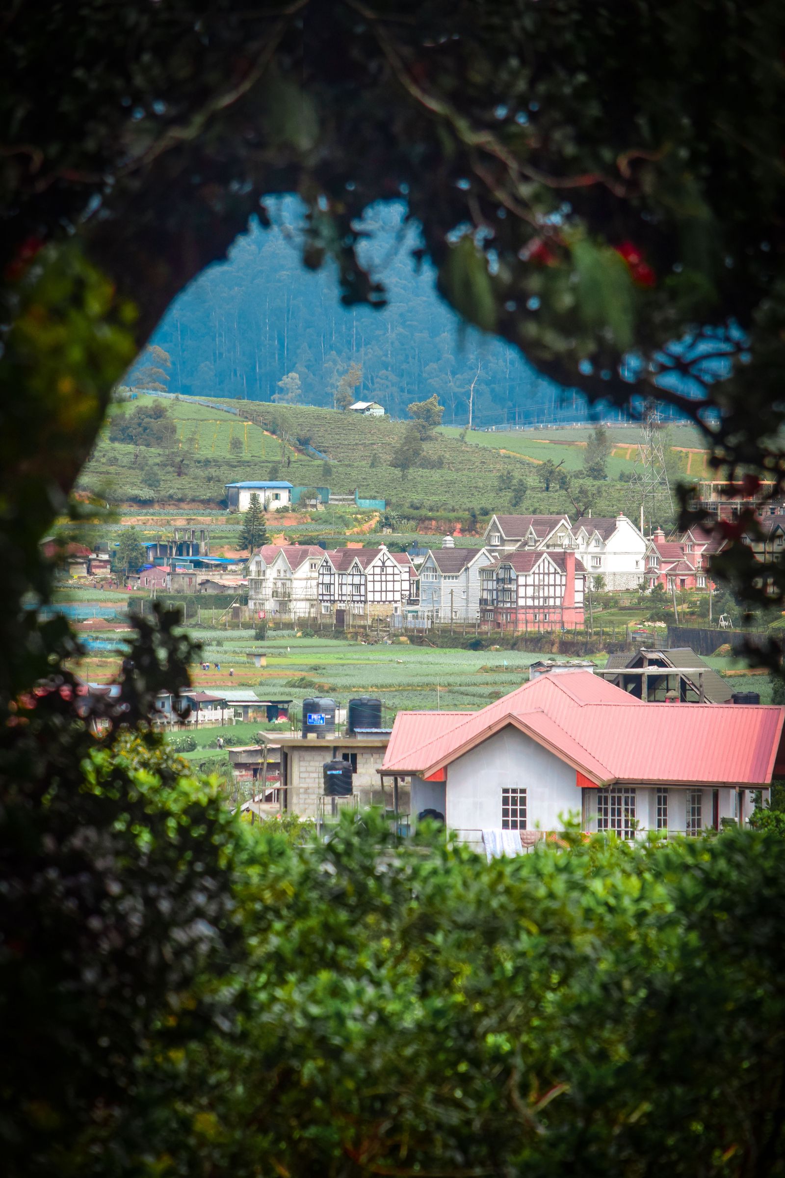 Nuwara Eliya & Tea Country