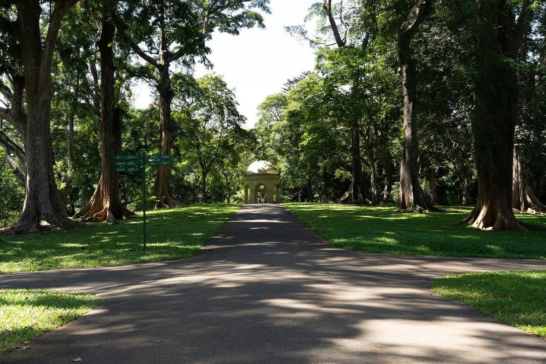 Pathway through the botanical garden