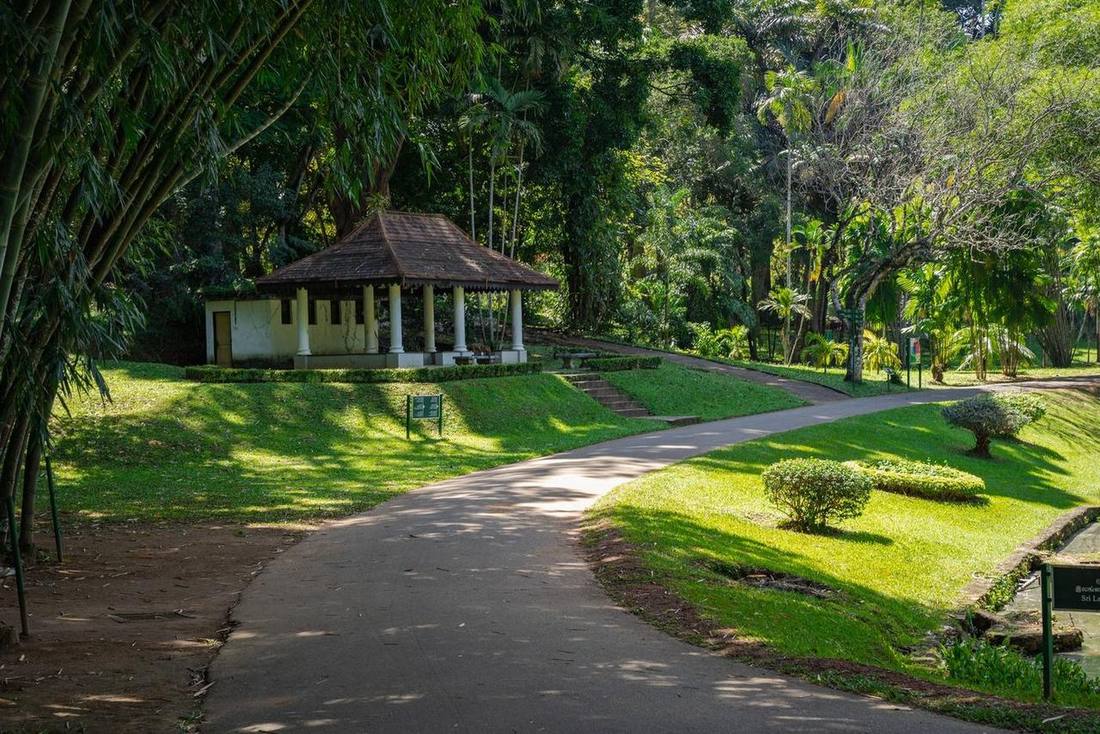 Pavilion in a lush garden