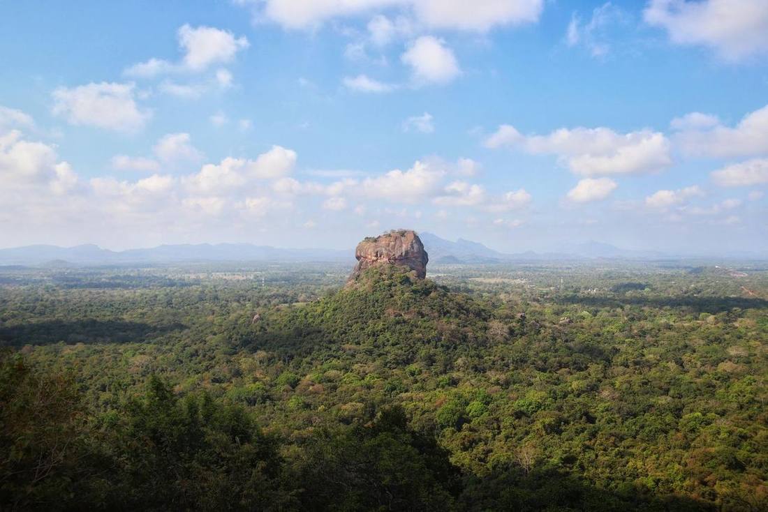 Forest under a cloudy sky near Sigiriya