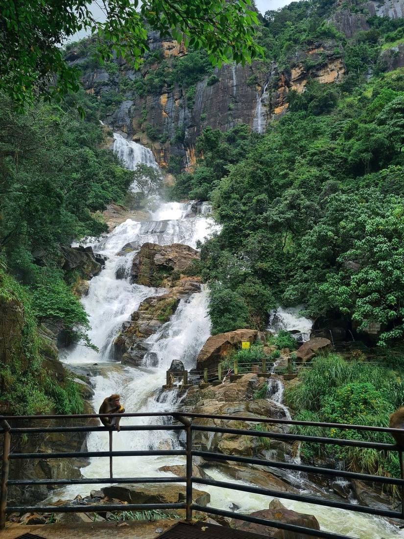 Waterfall in the Sri Lankan jungle