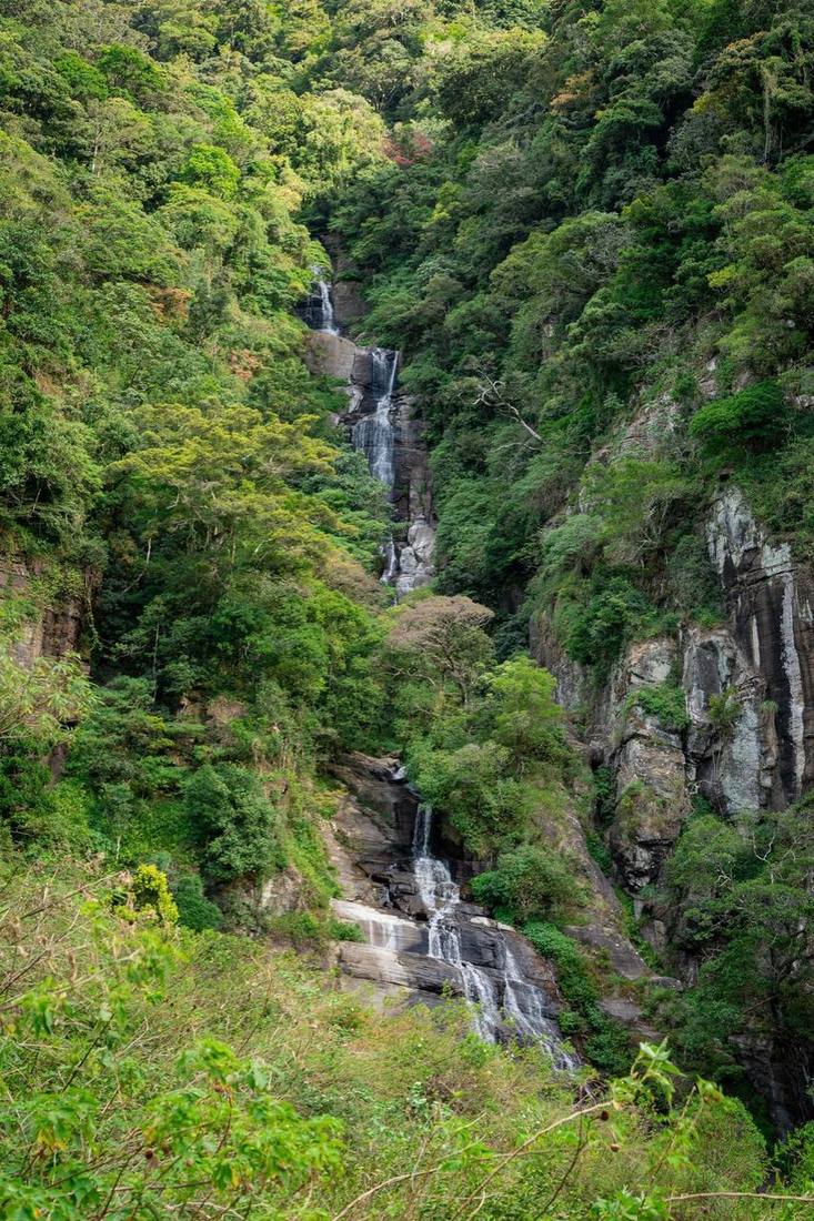 Waterfall surrounded by greenery