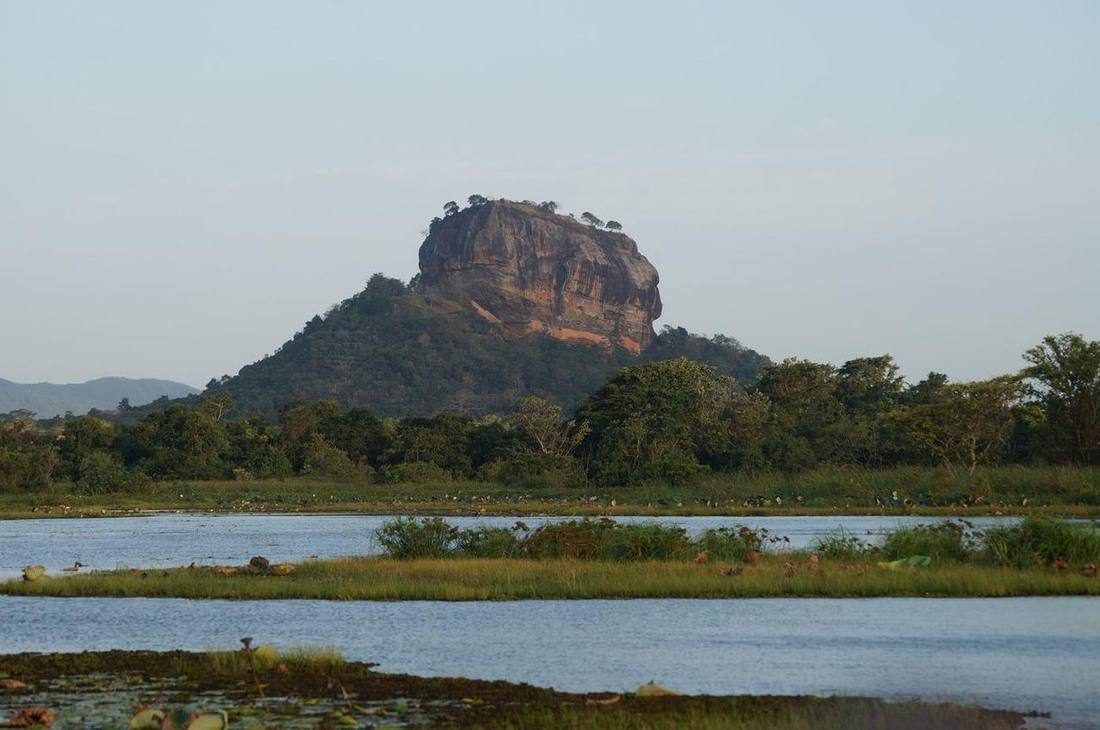 Sigiriya rock rising above the forest