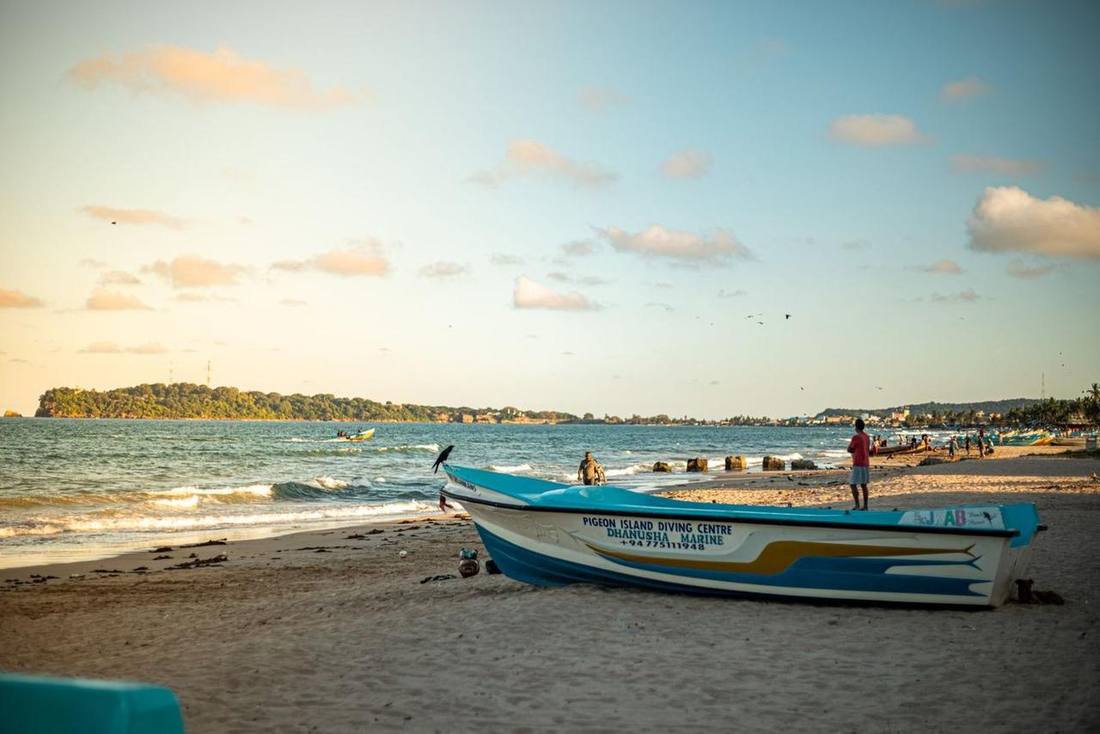 Boat on the shore