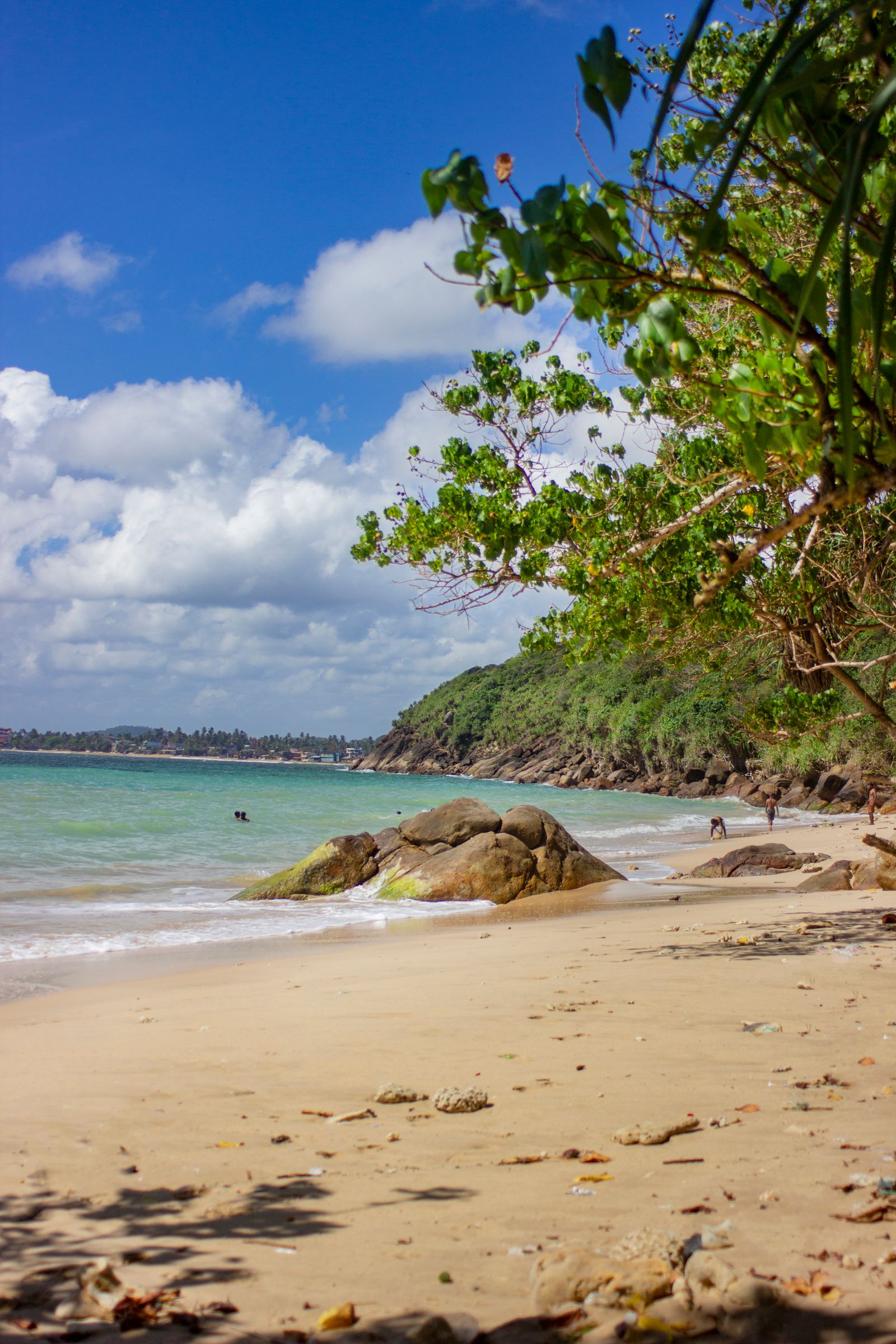 Unawatuna & Jungle Beach