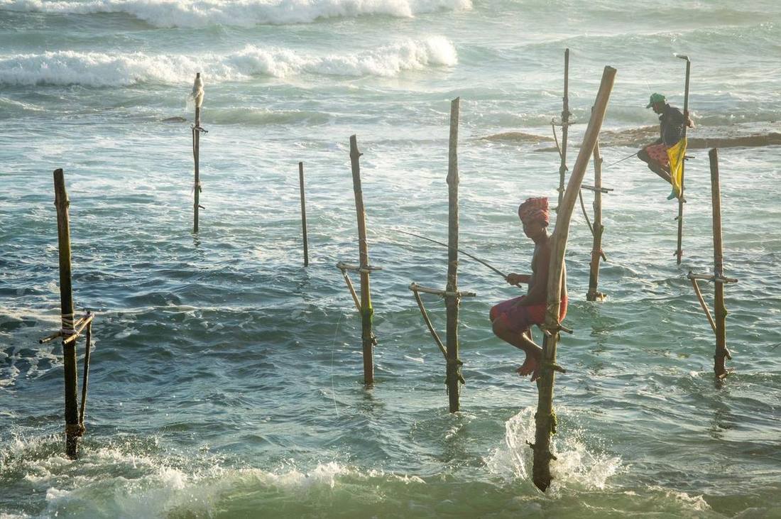 Traditional stilt fishing
