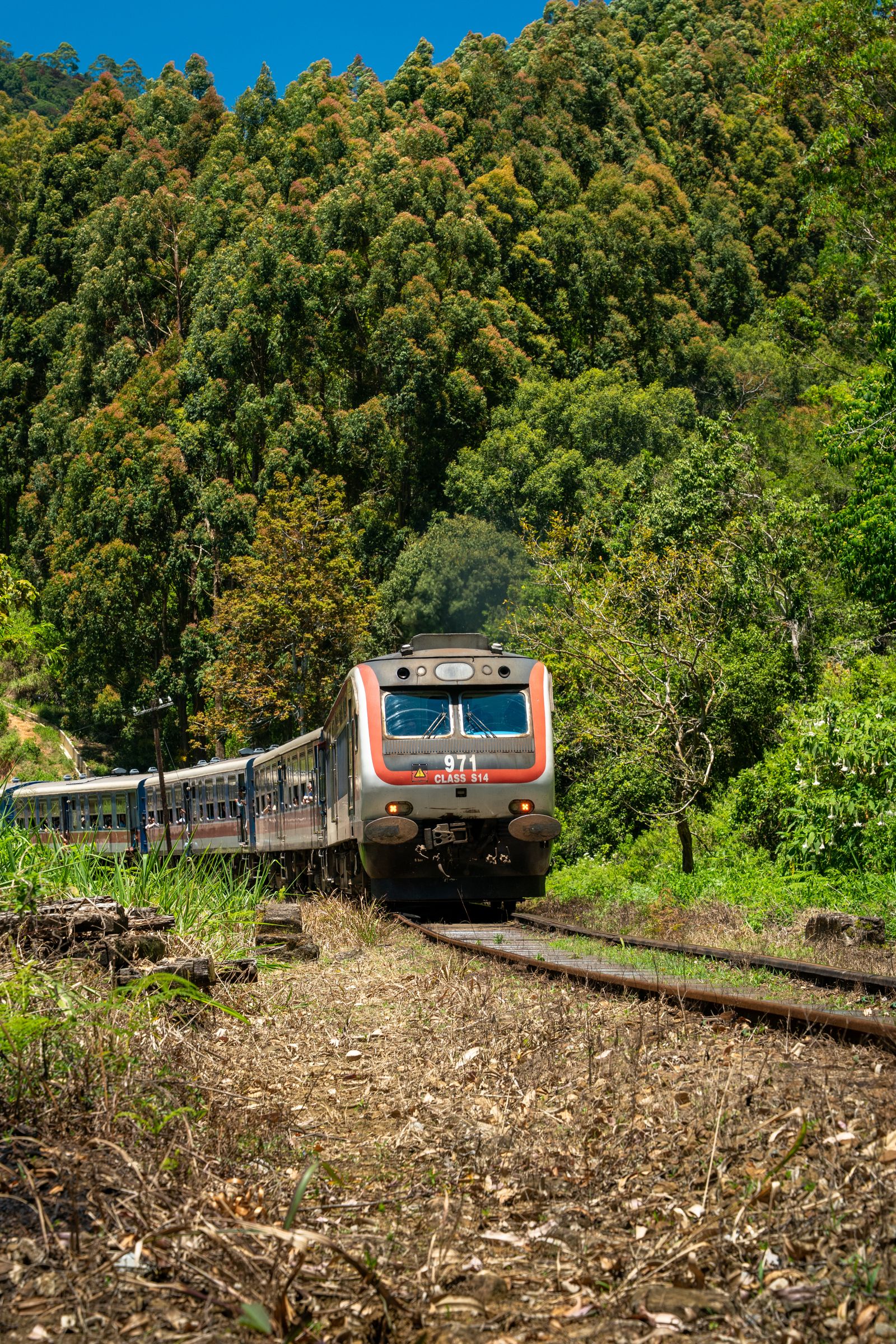 Scenic train journey through the hills